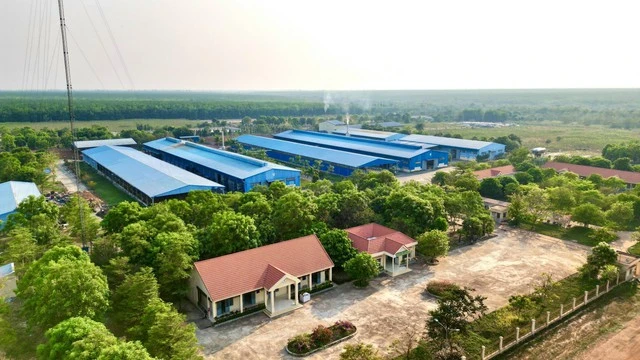 VRG: Phát triển bền vững trên những giá trị xanh